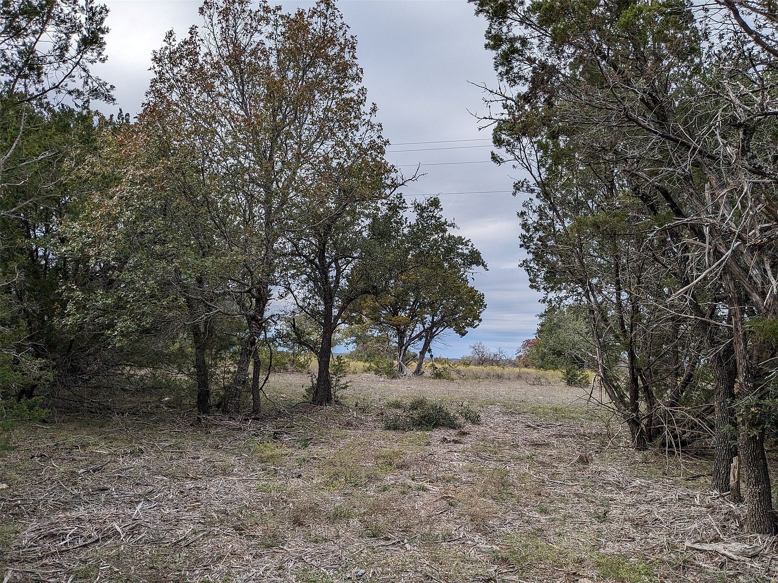 1314 County Road 127 Carlton, TX 76436 - Thumbnail 3