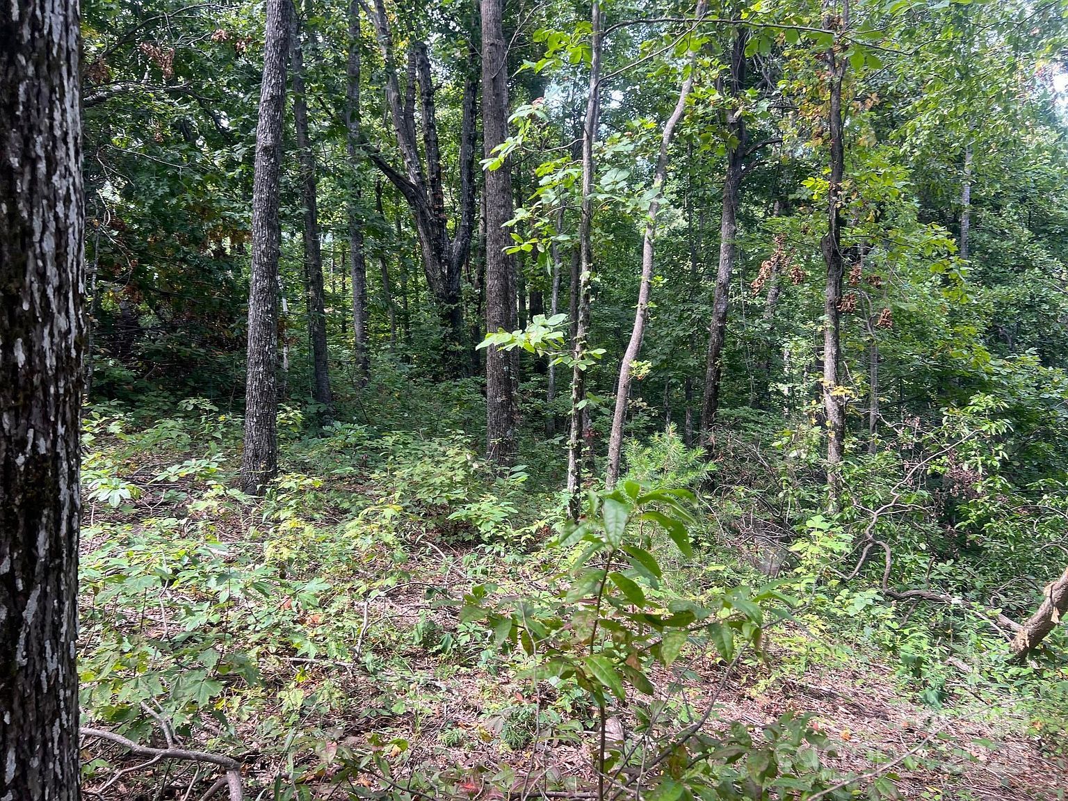 6792 Silver Creek Ln Morganton, NC 28655 - Thumbnail 3