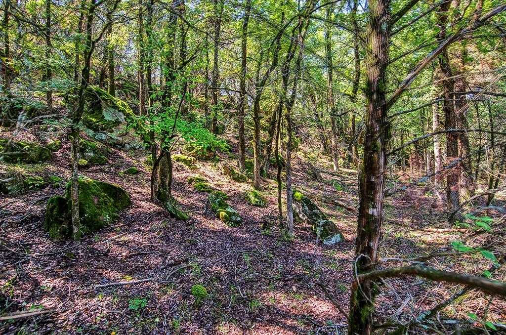 76 River Bend - Thumbnail 3