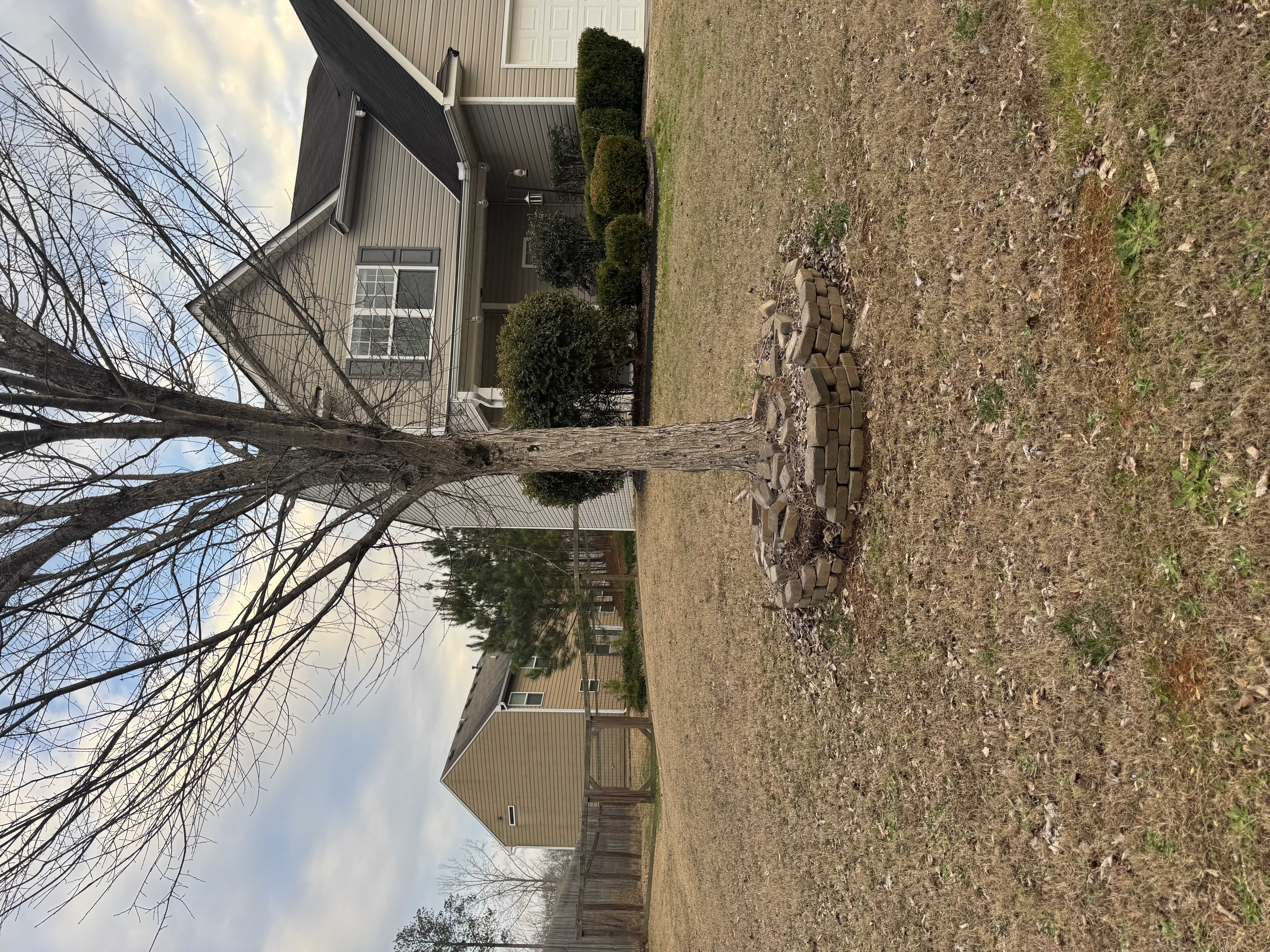 105 Comet Ct, Dallas, GA, USA, 30157 - Thumbnail 3