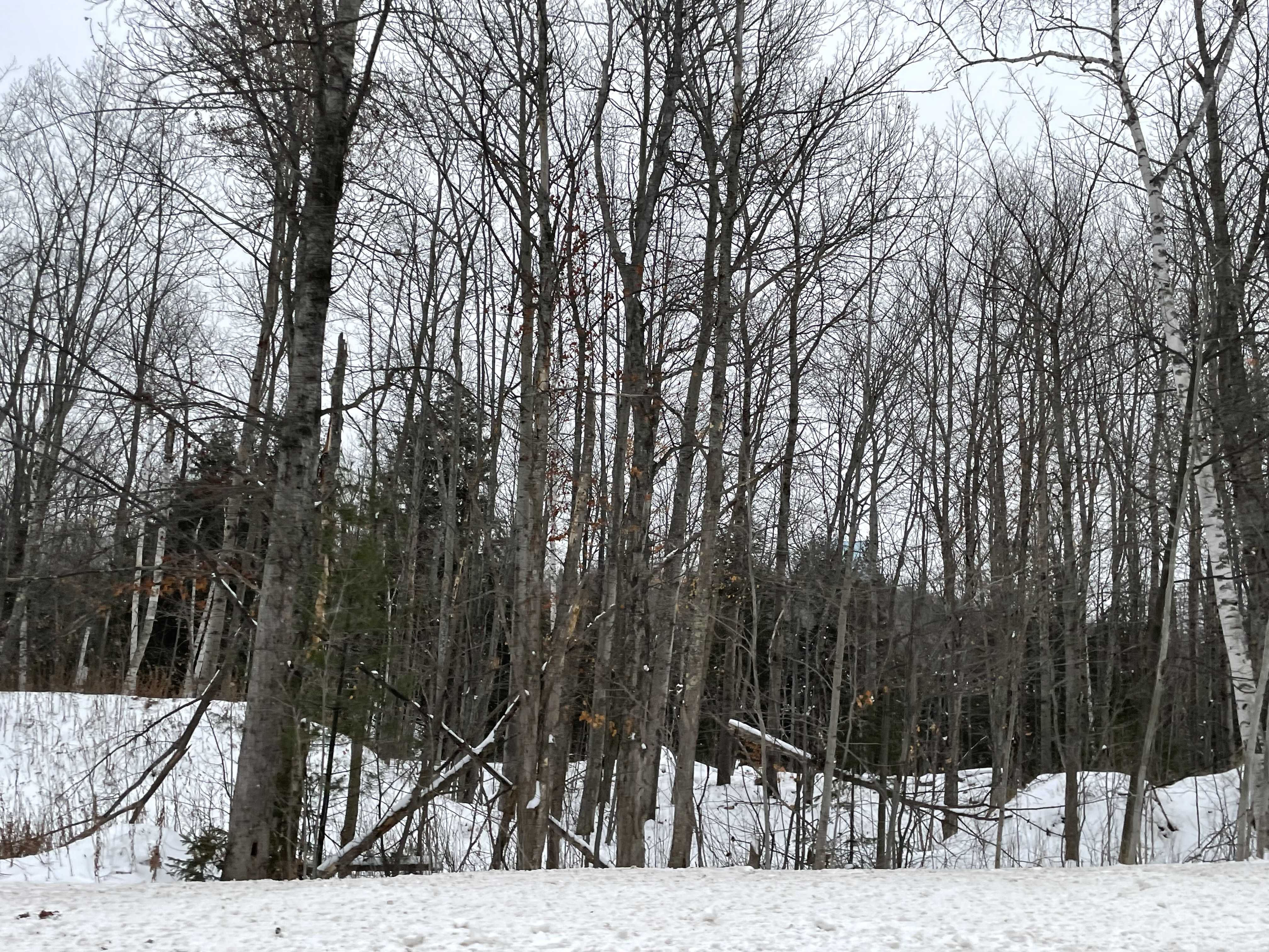 740 Grove Street, Marquette, MI, USA, 49855 - Thumbnail 3