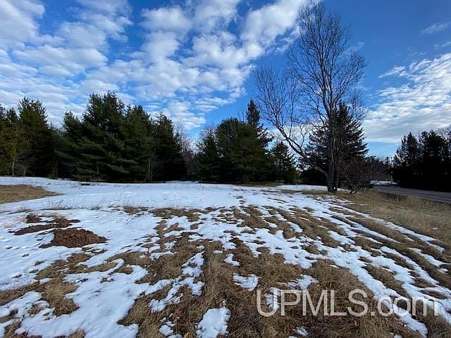 Us Highway 41 S Skandia, MI 49885 - Thumbnail 3