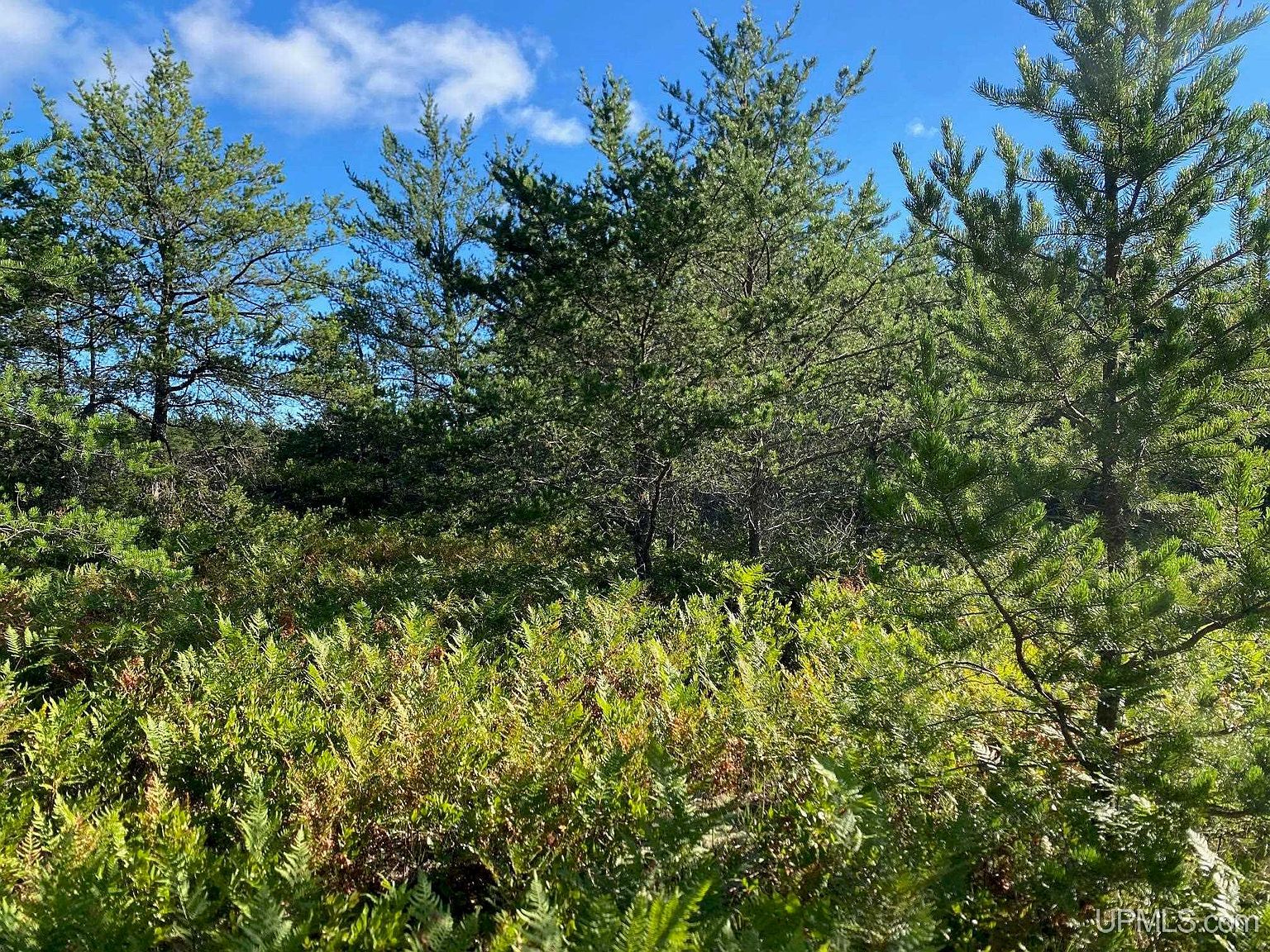 Charlotte Trl Marquette, MI 49855 - Thumbnail 3