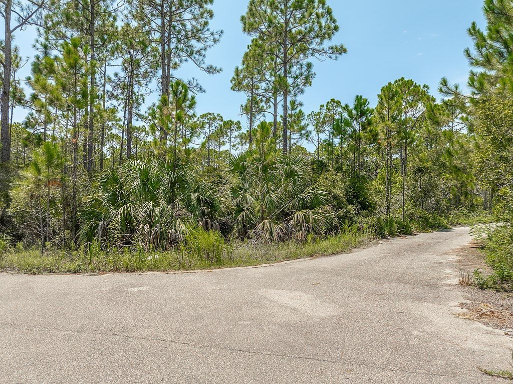 47 Piney Point Ln Eastpoint, FL 32328 - Thumbnail 3