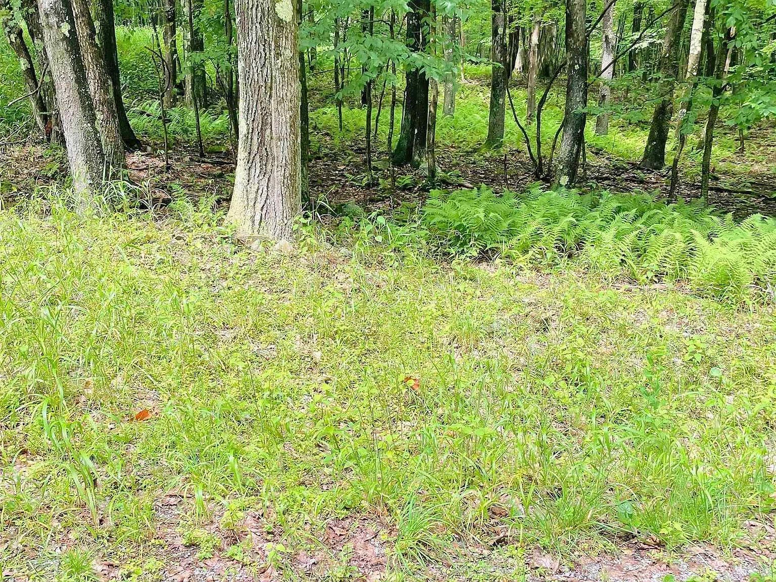 120 Hemlock Cir Terra Alta, WV 26764 - Thumbnail 3