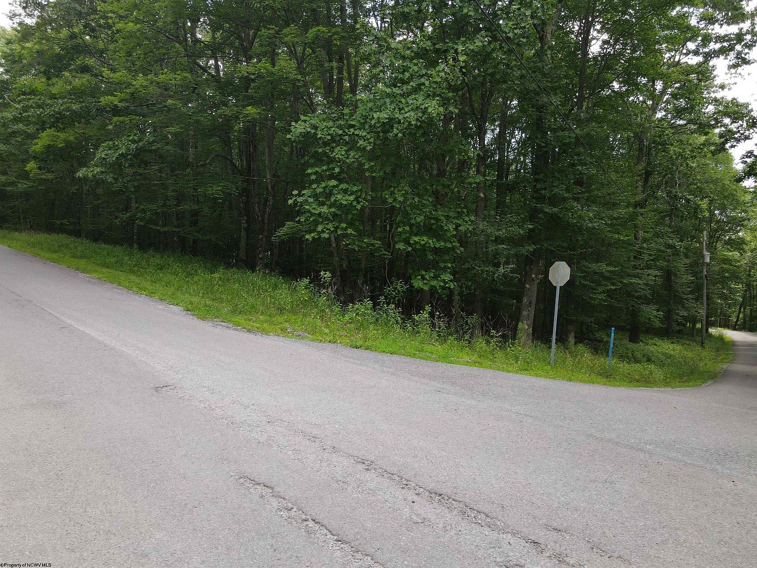 138 Day Lily Cir Terra Alta, WV 26764 - Thumbnail 3