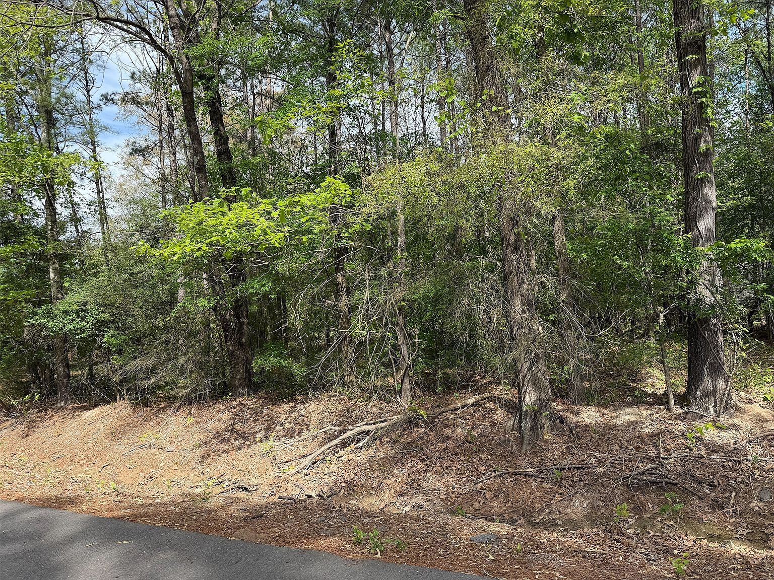 0 Sandwood Dr Keithville, LA 71047 - Thumbnail 3