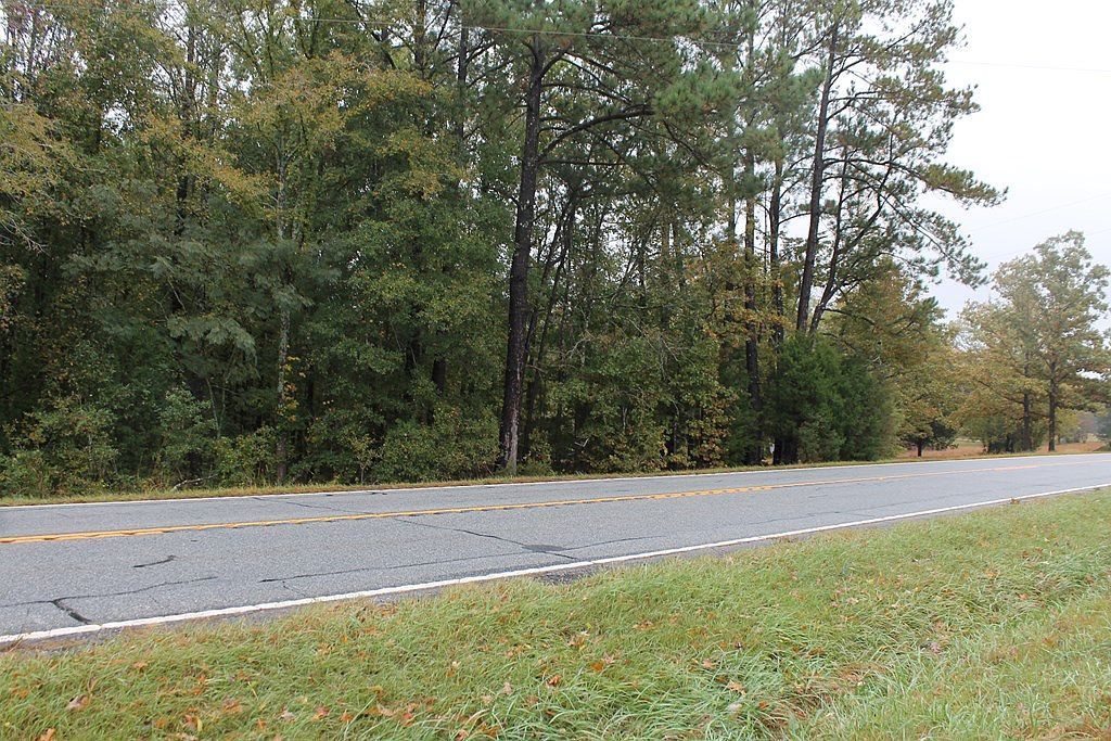 14553 Highway 221 S Waterloo, SC 29384 - Thumbnail 3