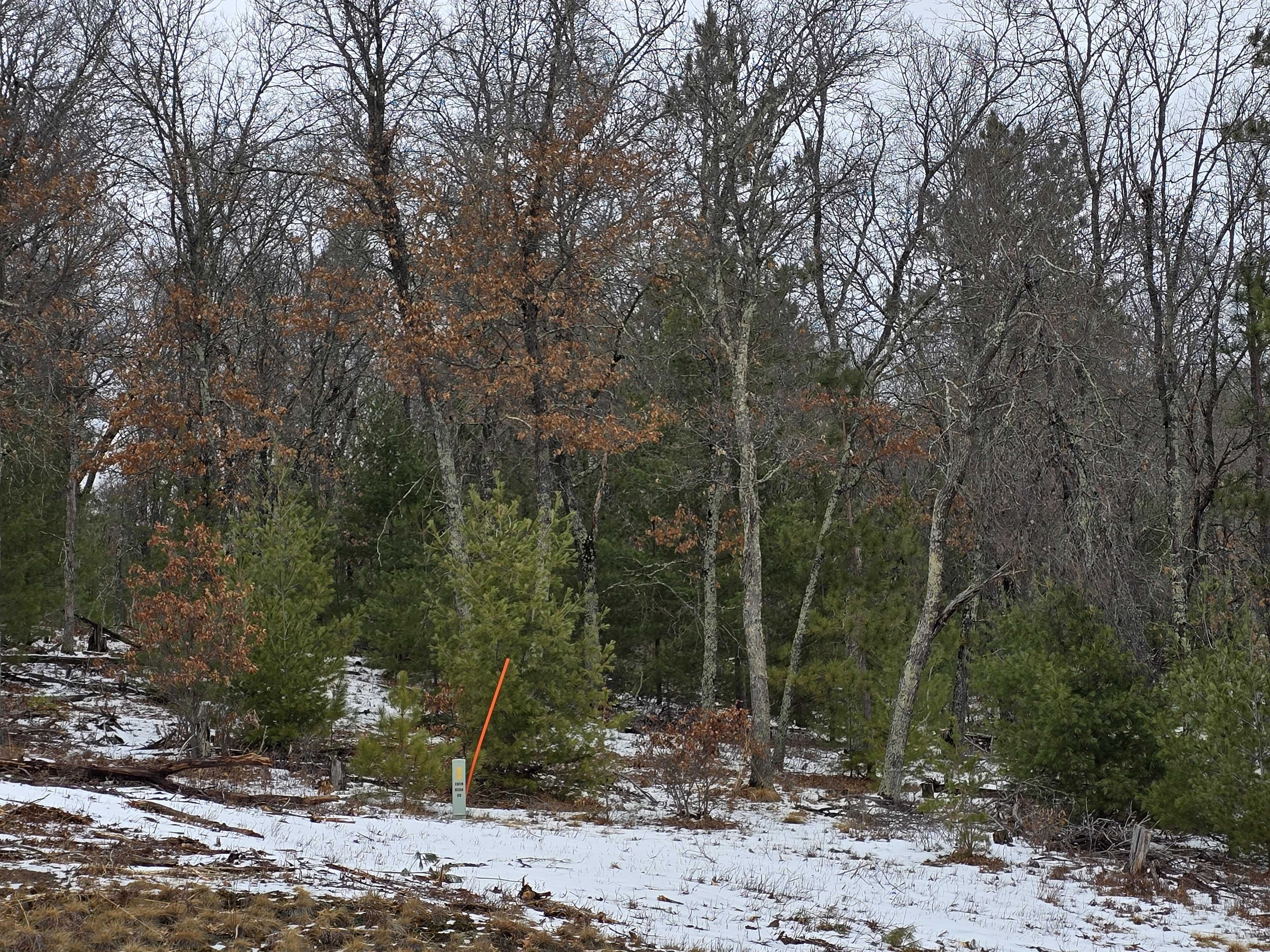 Lot 1 State Road 77 - Thumbnail 3