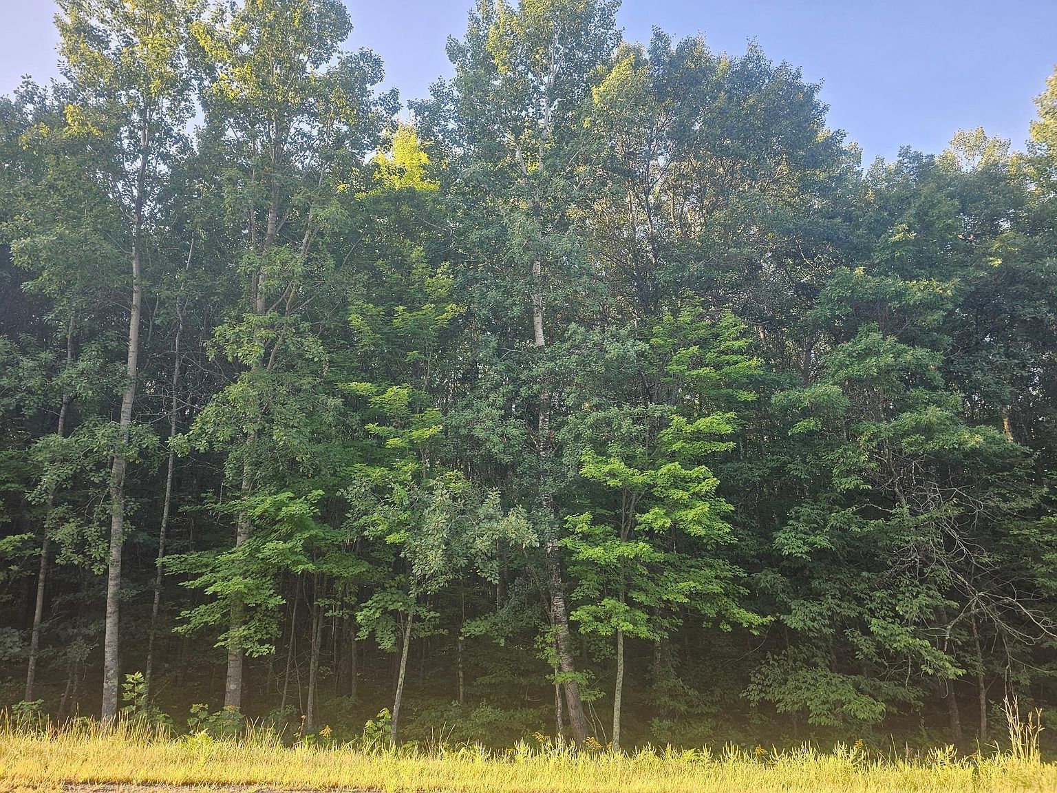 LOT 2 Ken Can Ln Webster, WI 54893 - Thumbnail 3