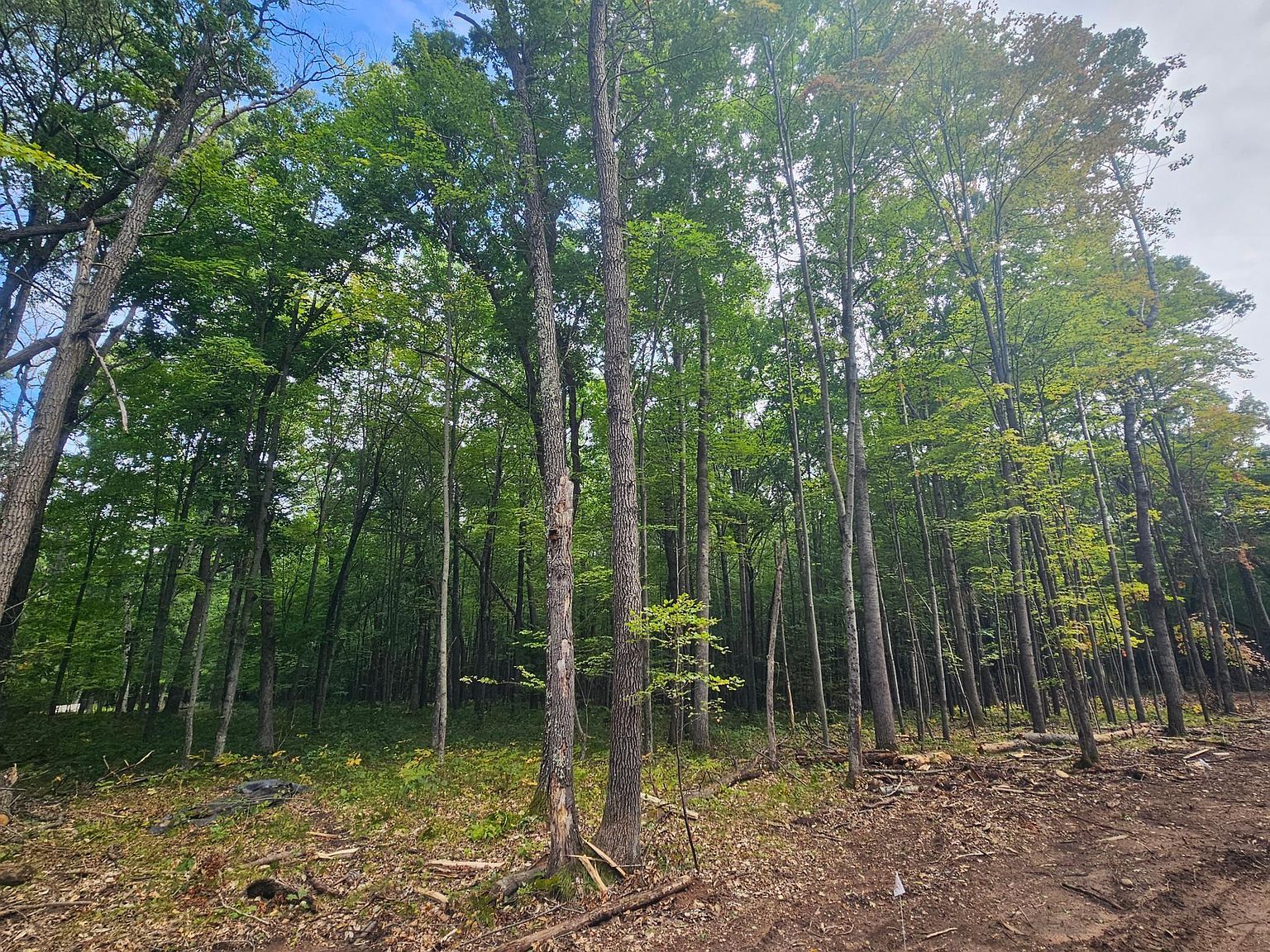 LOT 5 Ken Can Ln Webster, WI 54893 - Thumbnail 3