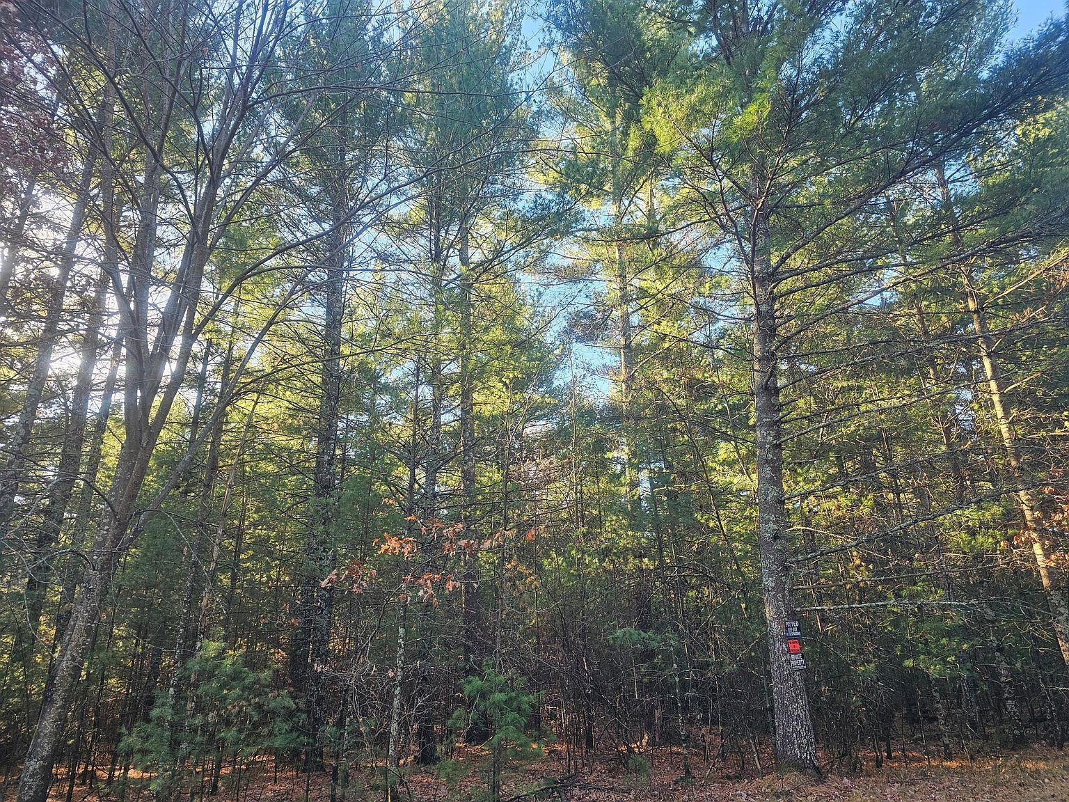 Harmon Ave E Grantsburg, WI 54840 - Thumbnail 3