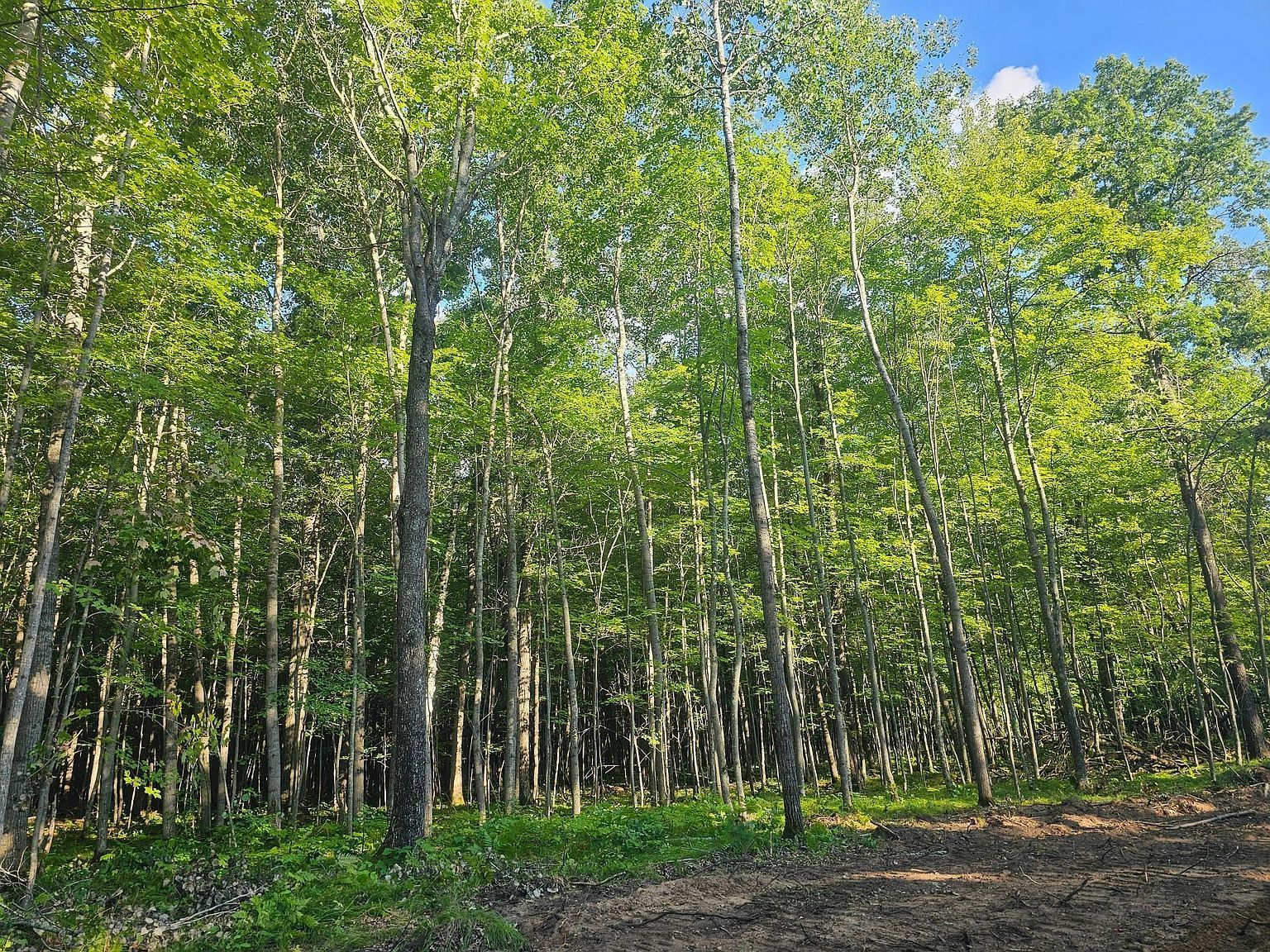 4 Ken Can Ln Webster, WI 54893 - Thumbnail 3