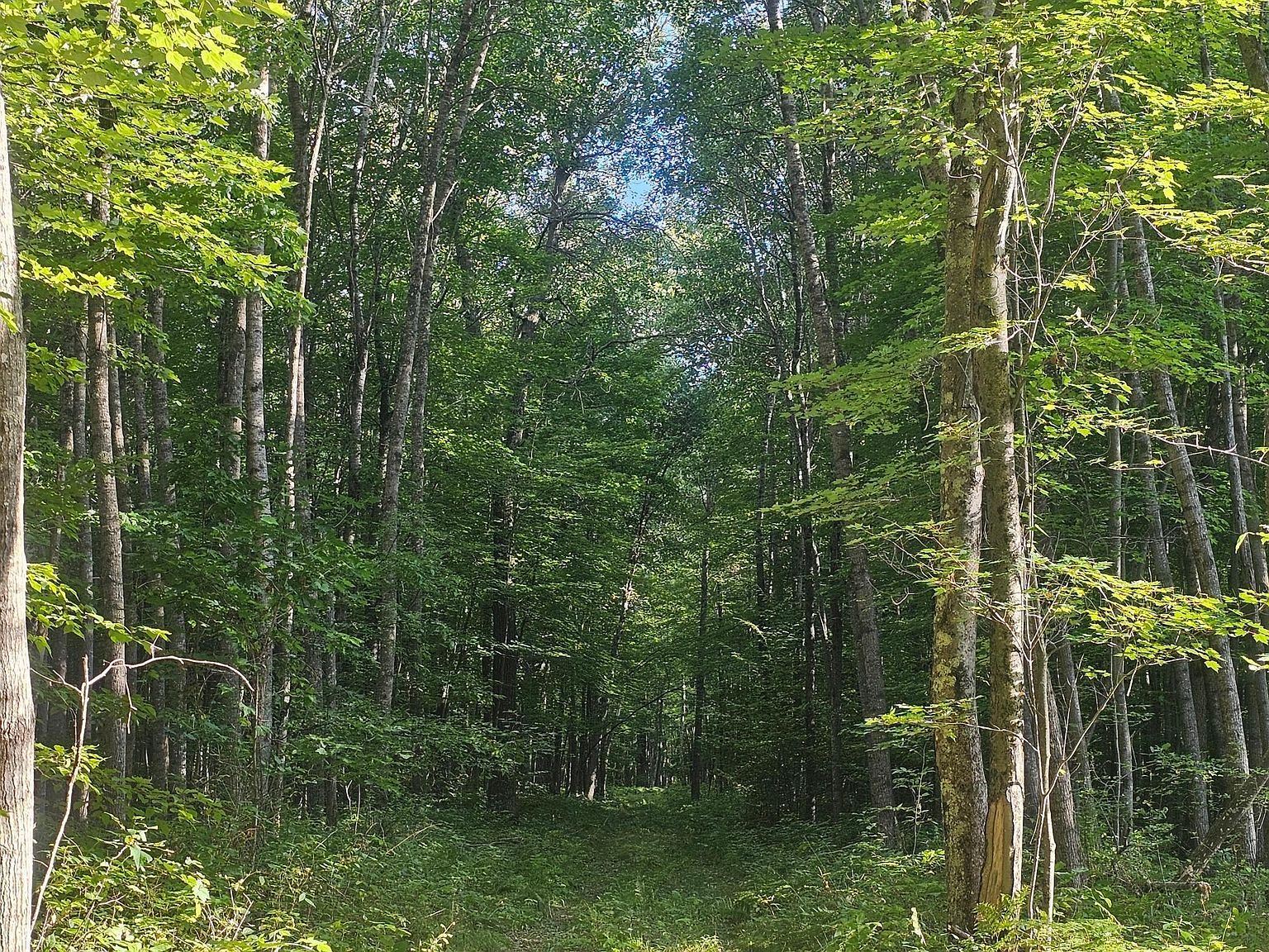 3 Ken Can Ln Webster, WI 54893 - Thumbnail 3