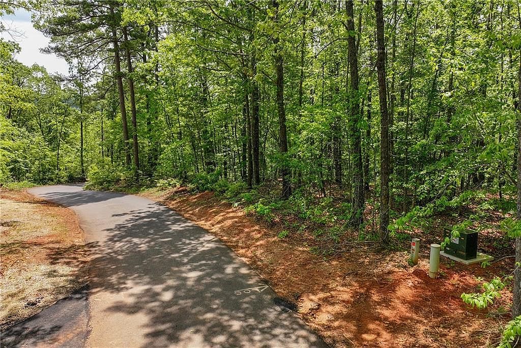0 Lawrence Rd LOT 3 Dawsonville, GA 30534 - Thumbnail 3