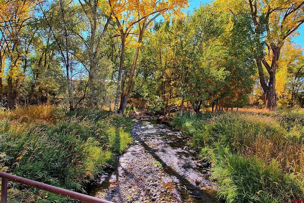 12053 Highway 65 Eckert, CO 81418 - Thumbnail 3