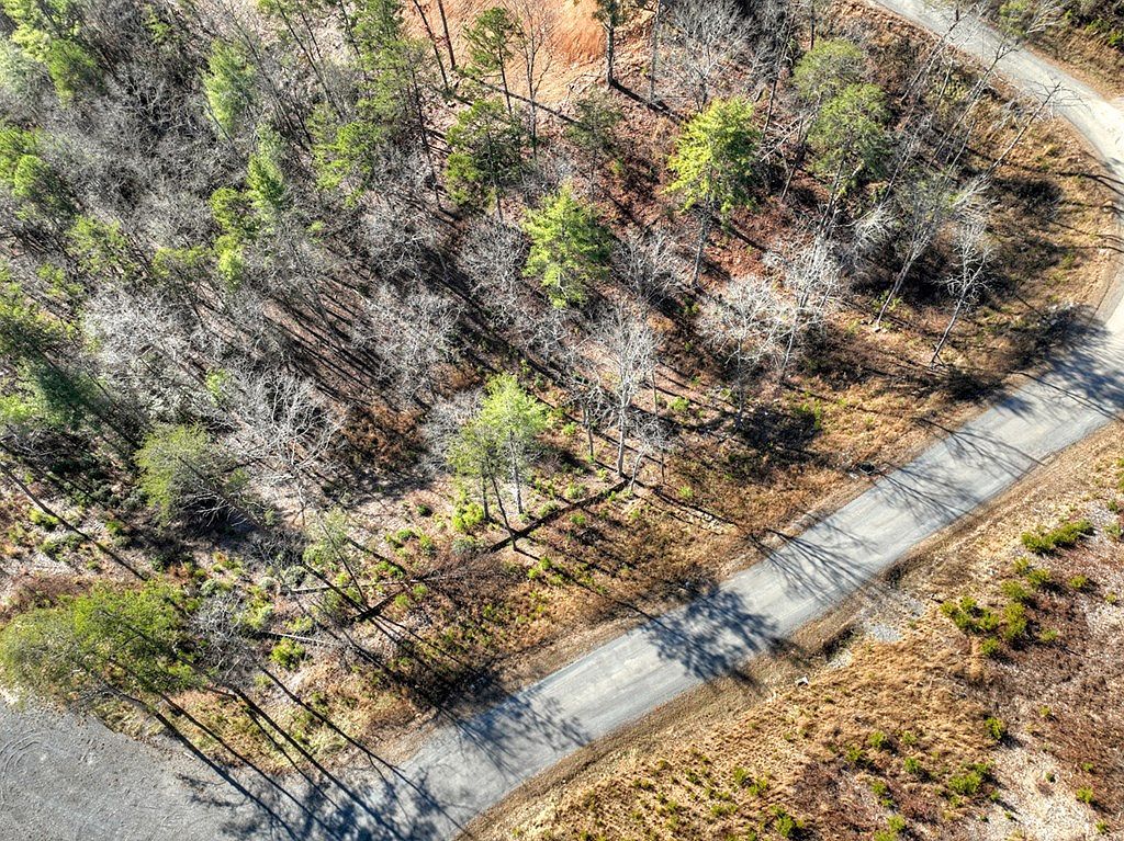 LOT 16 Mountain Laurel Dr Mineral Bluff, GA 30559 - Thumbnail 3