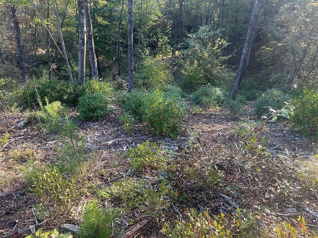 LOT 44 Ridgeline Ln Mineral Bluff, GA 30559 - Thumbnail 3