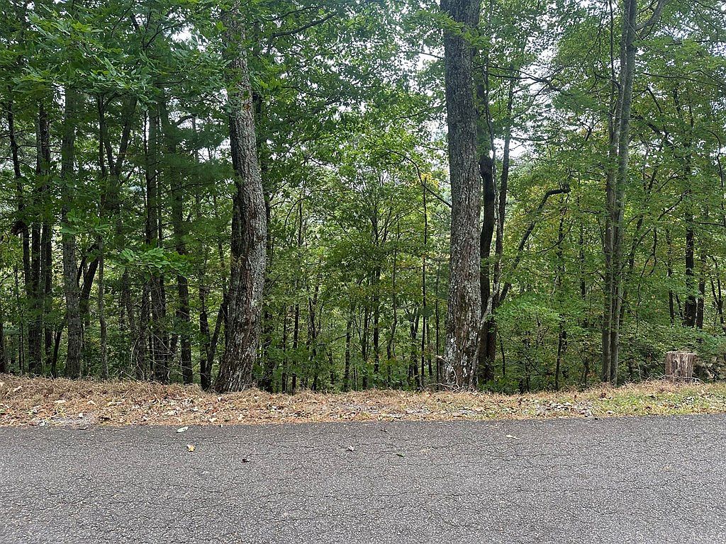 LOT A28 Laurel Ridge Dr Ellijay, GA 30536 - Thumbnail 3