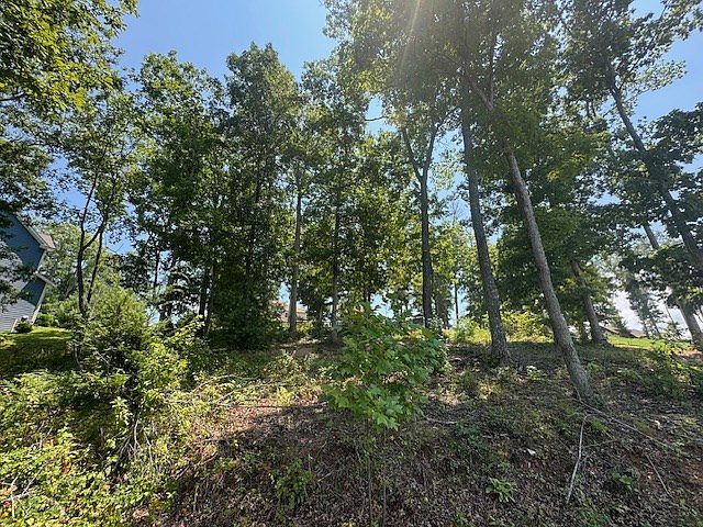 5 Hunter Ln Blairsville, GA 30512 - Thumbnail 3