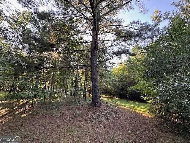 1.18 Newberry Dr Mineral Bluff, GA 30559 - Thumbnail 3