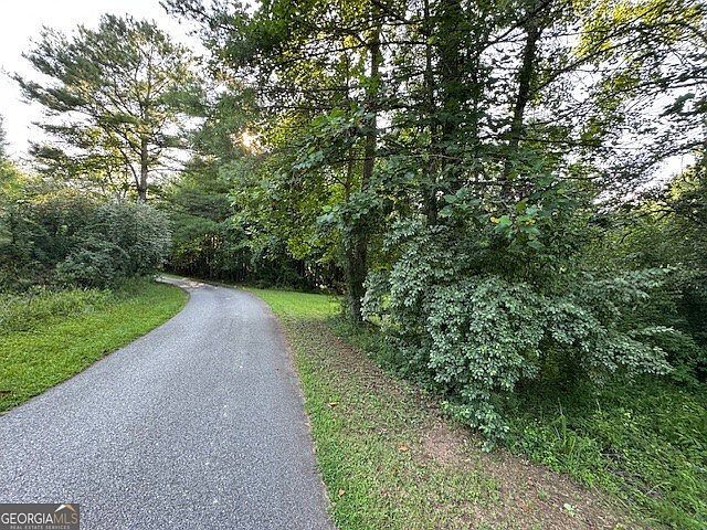 1 Newberry Dr Mineral Bluff, GA 30559 - Thumbnail 3