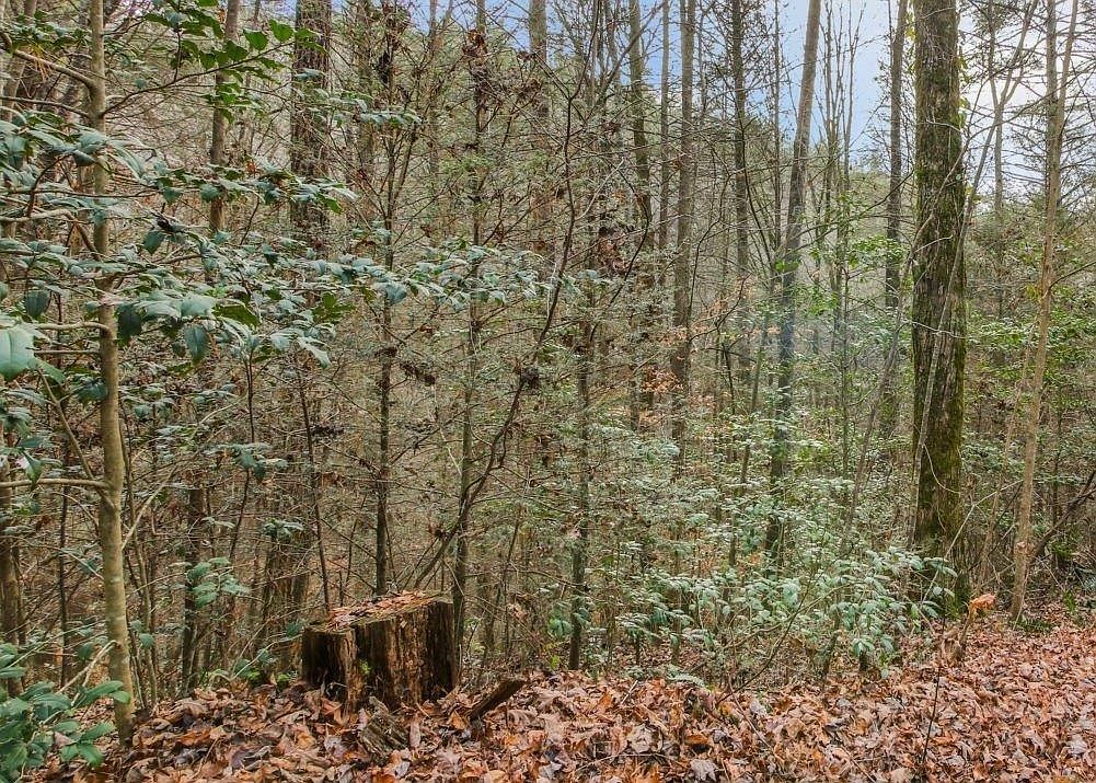 LOT 2 Laurel Overlook Rd Ellijay, GA 30540 - Thumbnail 3