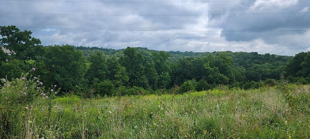 15711 Pfanstiehl Rd De Mossville, KY 41033 - Thumbnail 3