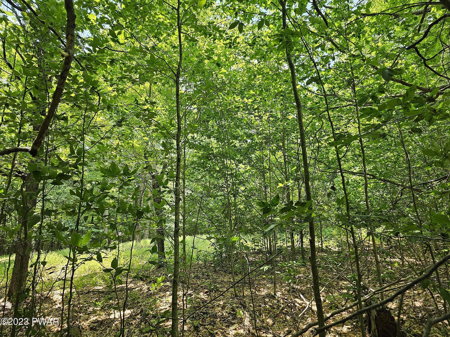 69 Stonegate Rd Equinunk, PA 18417 - Thumbnail 3