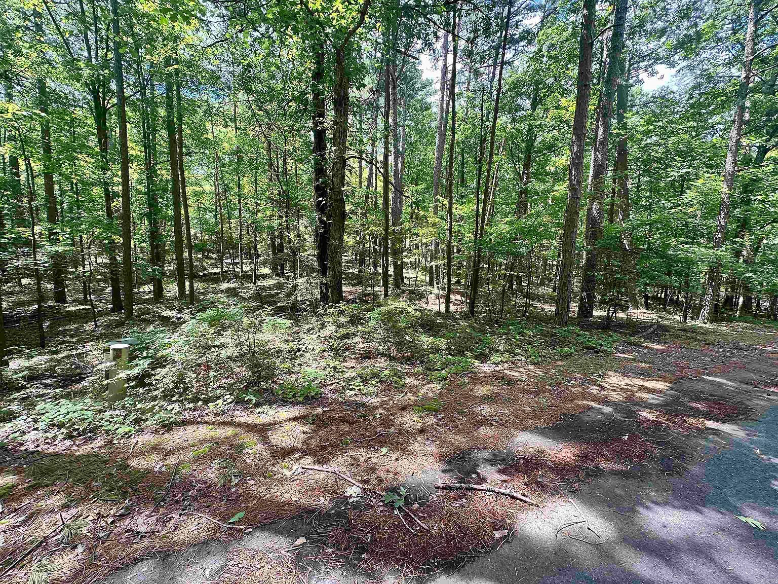 4 Modesto Way, Hot Springs Village, AR, 71909 - Thumbnail 3