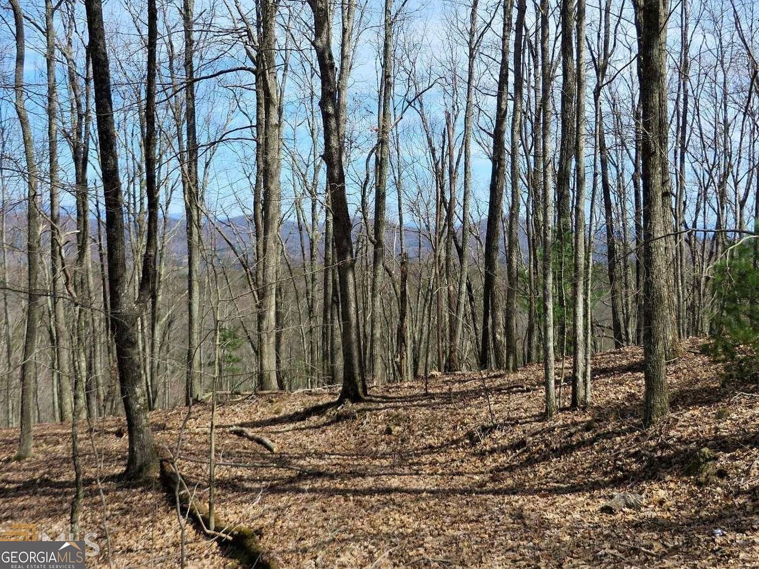 0 Deer Run Morganton, GA 30560 - Thumbnail 3