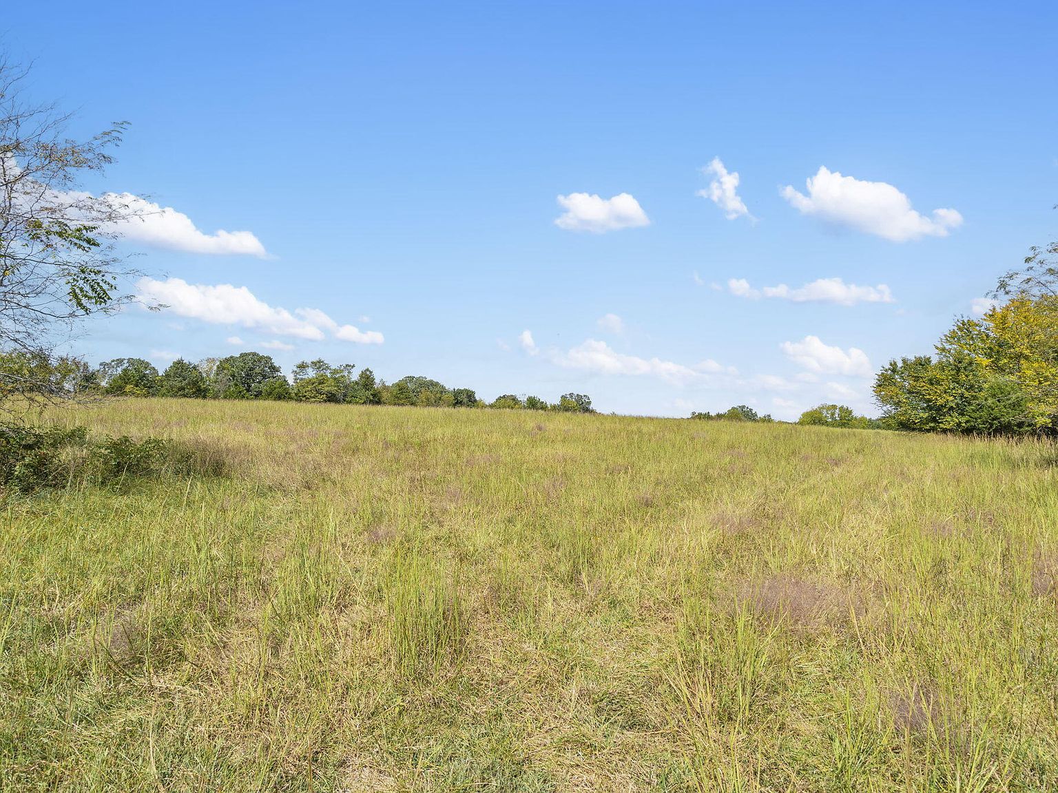 543-1 Wild Rose Loop #A Strafford, MO 65757 - Thumbnail 3