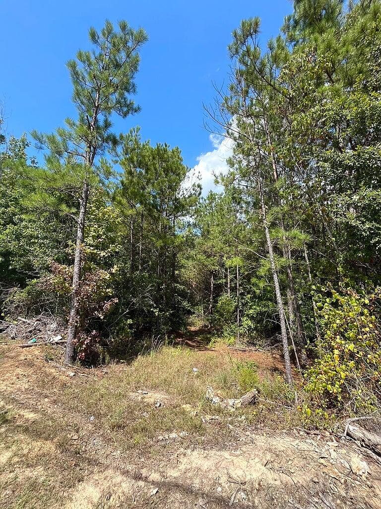 0 Yorkville Rd E Columbus, MS 39702  | Land/Lot