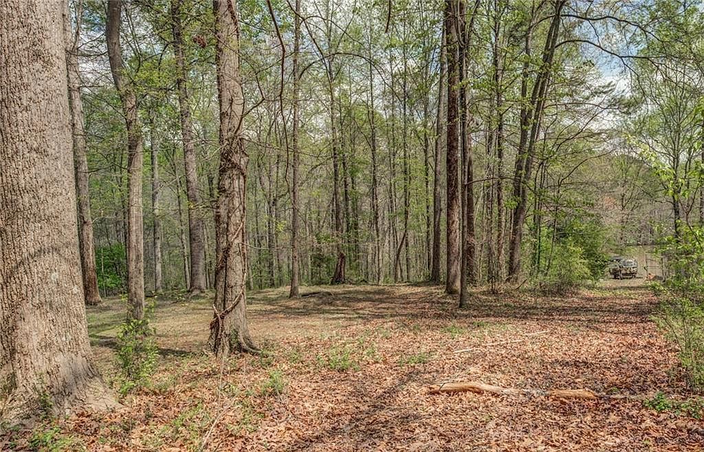 0 Jones Rd Ellenwood, GA 30294 - Thumbnail 3