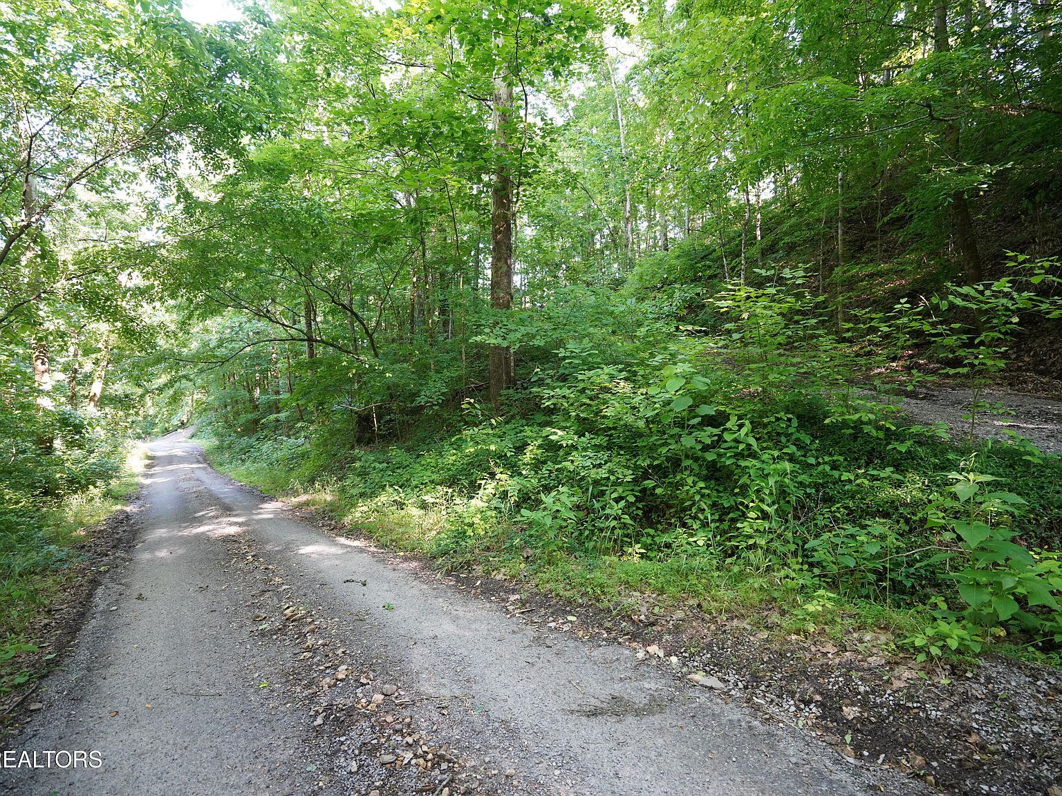 Holiday Haven Rd, Smithville, TN, 37166 - Thumbnail 3