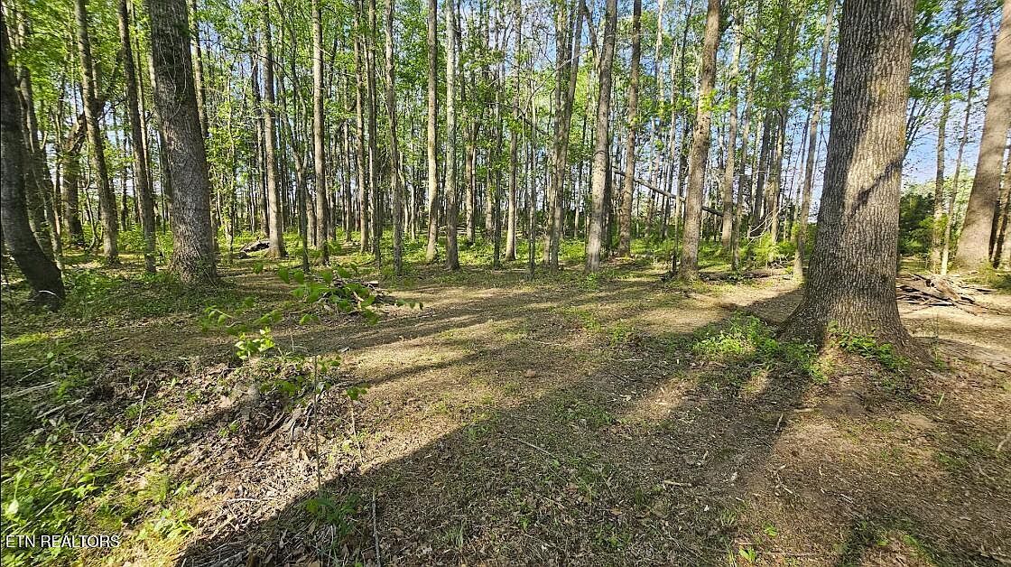 W Wd White Rd Sparta, TN 38583 - Thumbnail 3