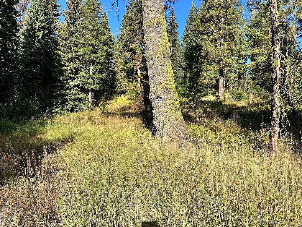 20 Andy Ln Donnelly, ID 83615 - Thumbnail 3