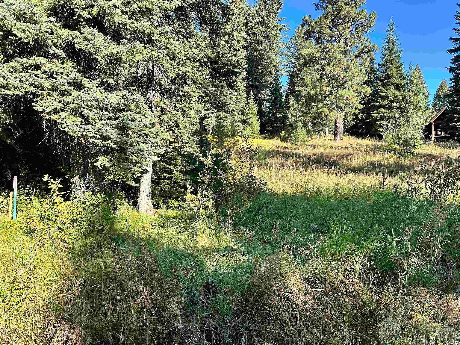 2195 Davy Rd, Donnelly, ID, 83615 - Thumbnail 3