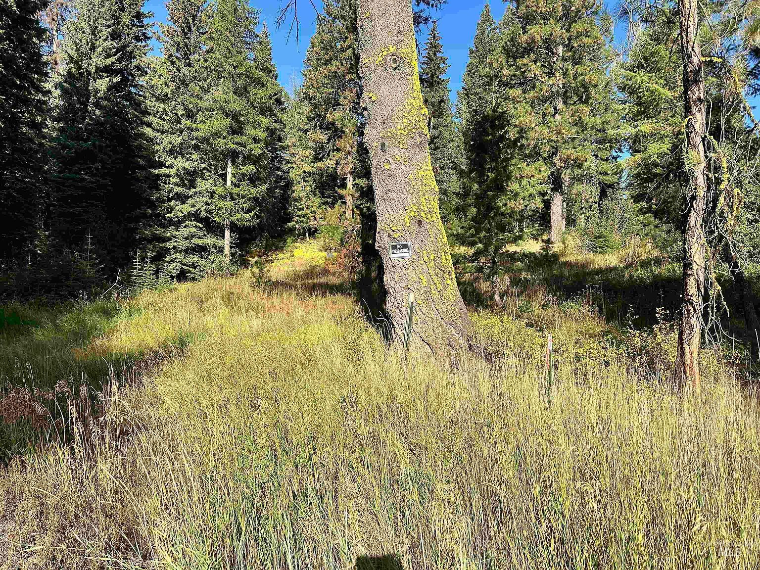 20 Andy, McCall, ID, 83638 - Thumbnail 3