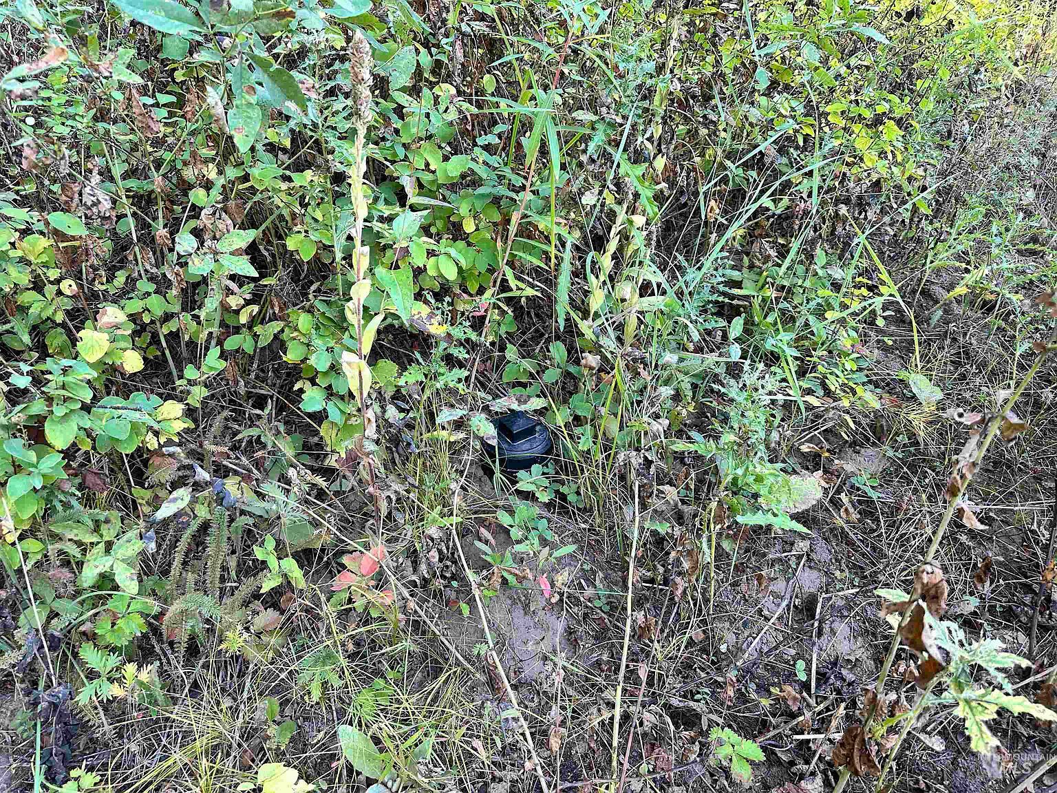 17 Andy Ln Donnelly, ID 83615 - Thumbnail 3