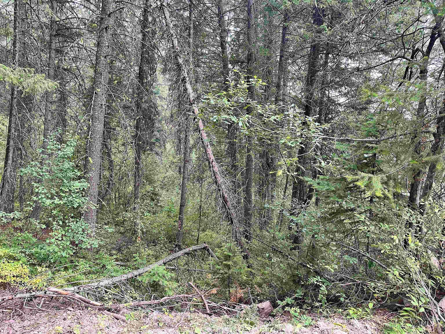 515 Collier View Rd Cascade, ID 83611 - Thumbnail 3