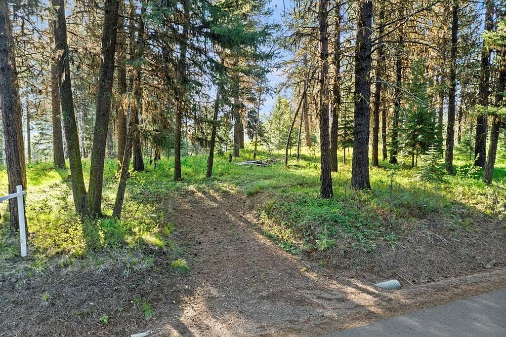 320 Blackhawk Lake Dr McCall, ID 83638 - Thumbnail 3