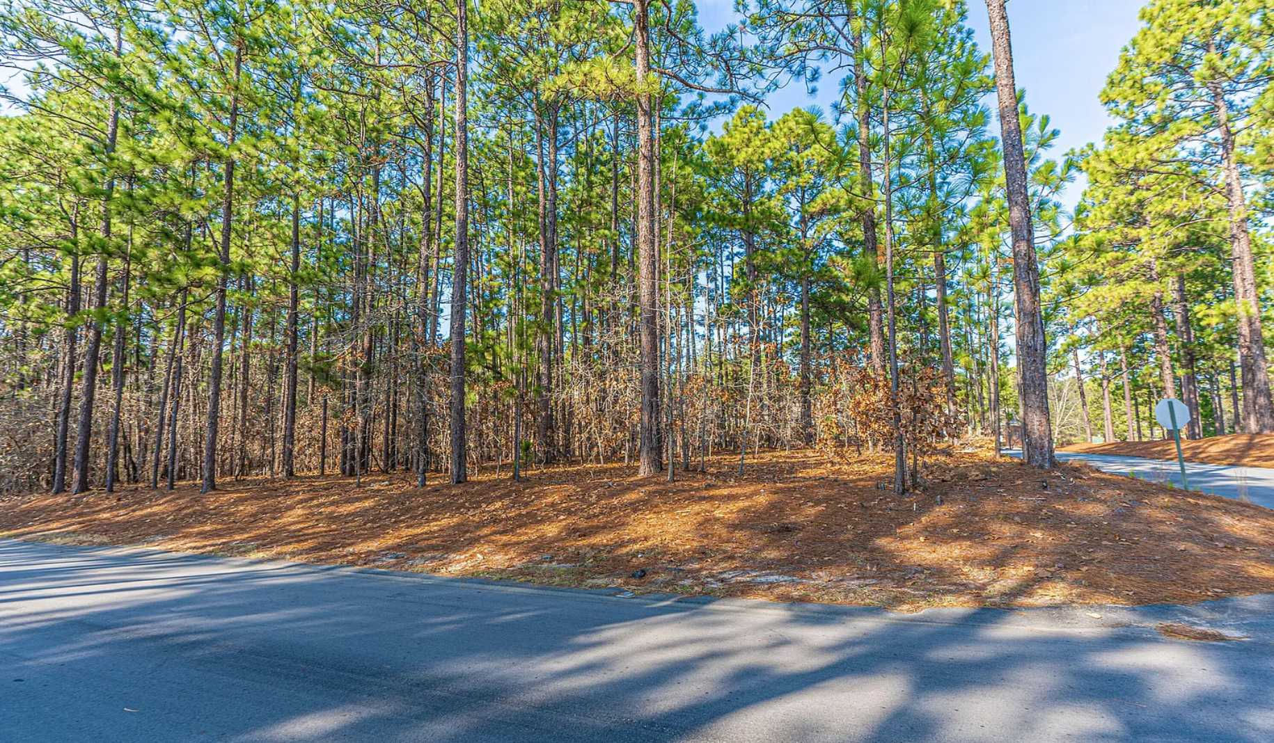 138 Carrington Square, West End, NC, USA, 27376 - Thumbnail 4