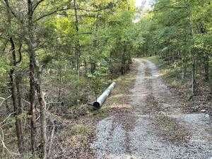 TBD Pine Hollow Road,, Protem, MO, 65733 - Thumbnail 3