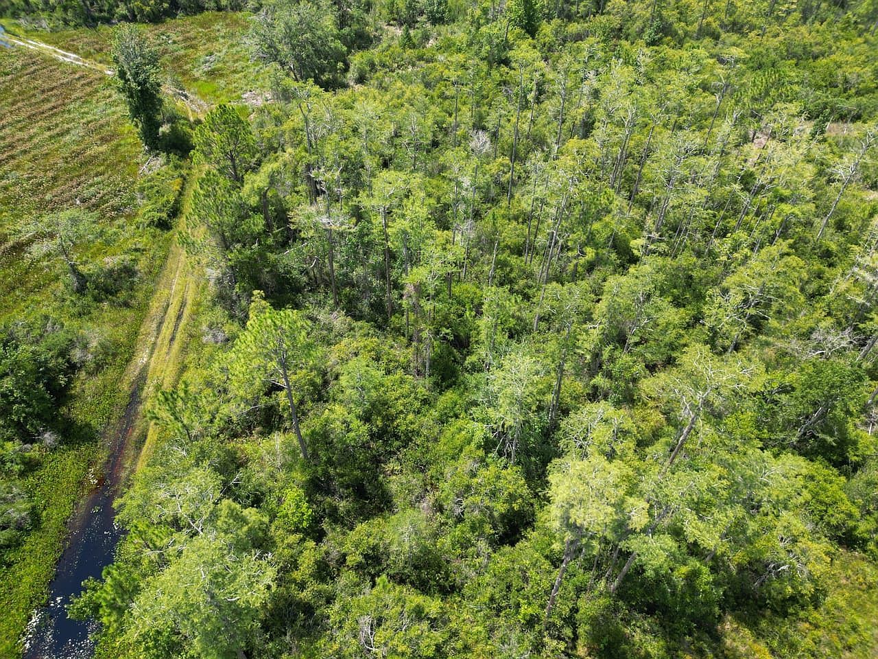 (undisclosed Address) Perry, FL 32347 - Thumbnail 3