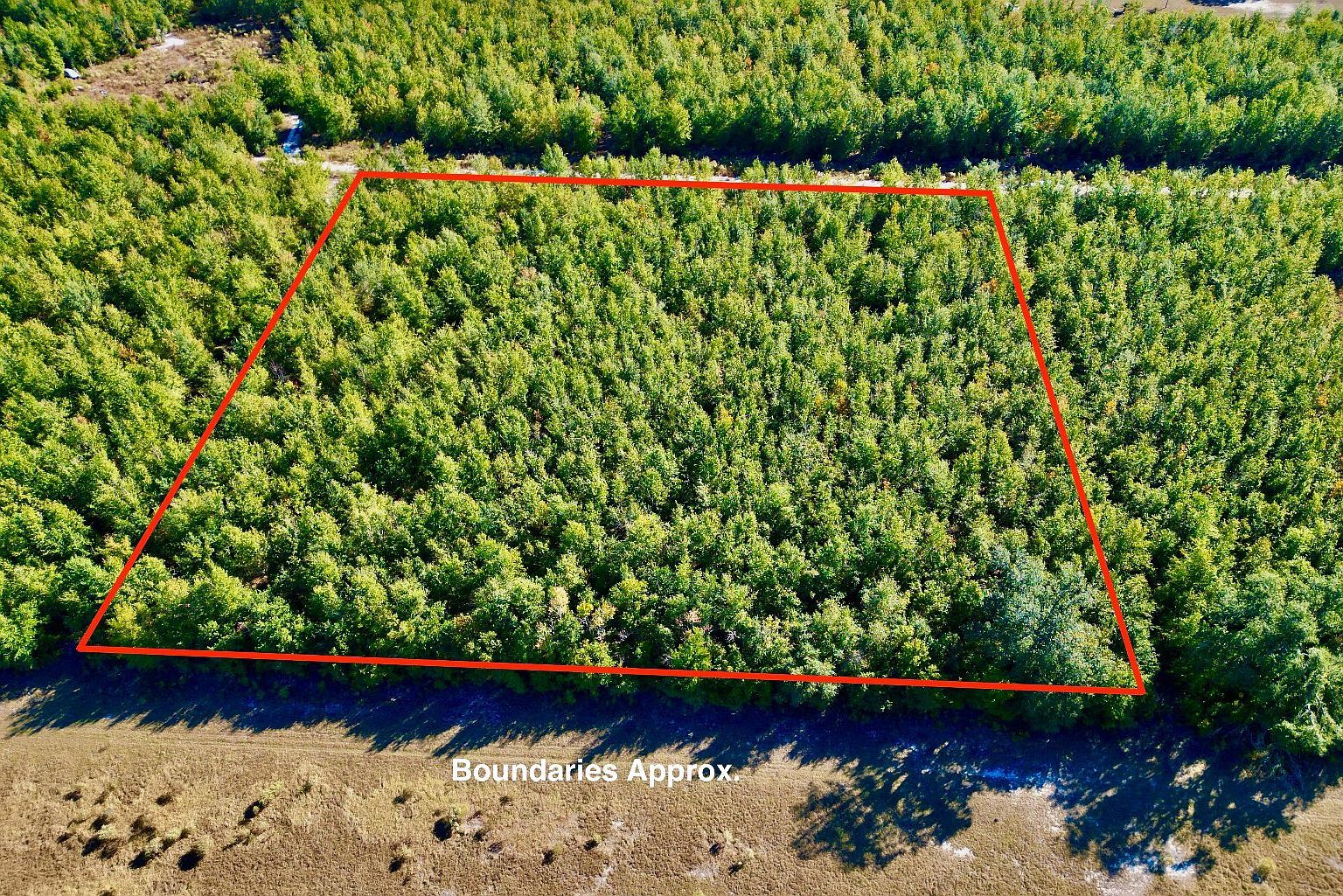 217 SE Homestead Way Madison, FL 32340 - Thumbnail 3