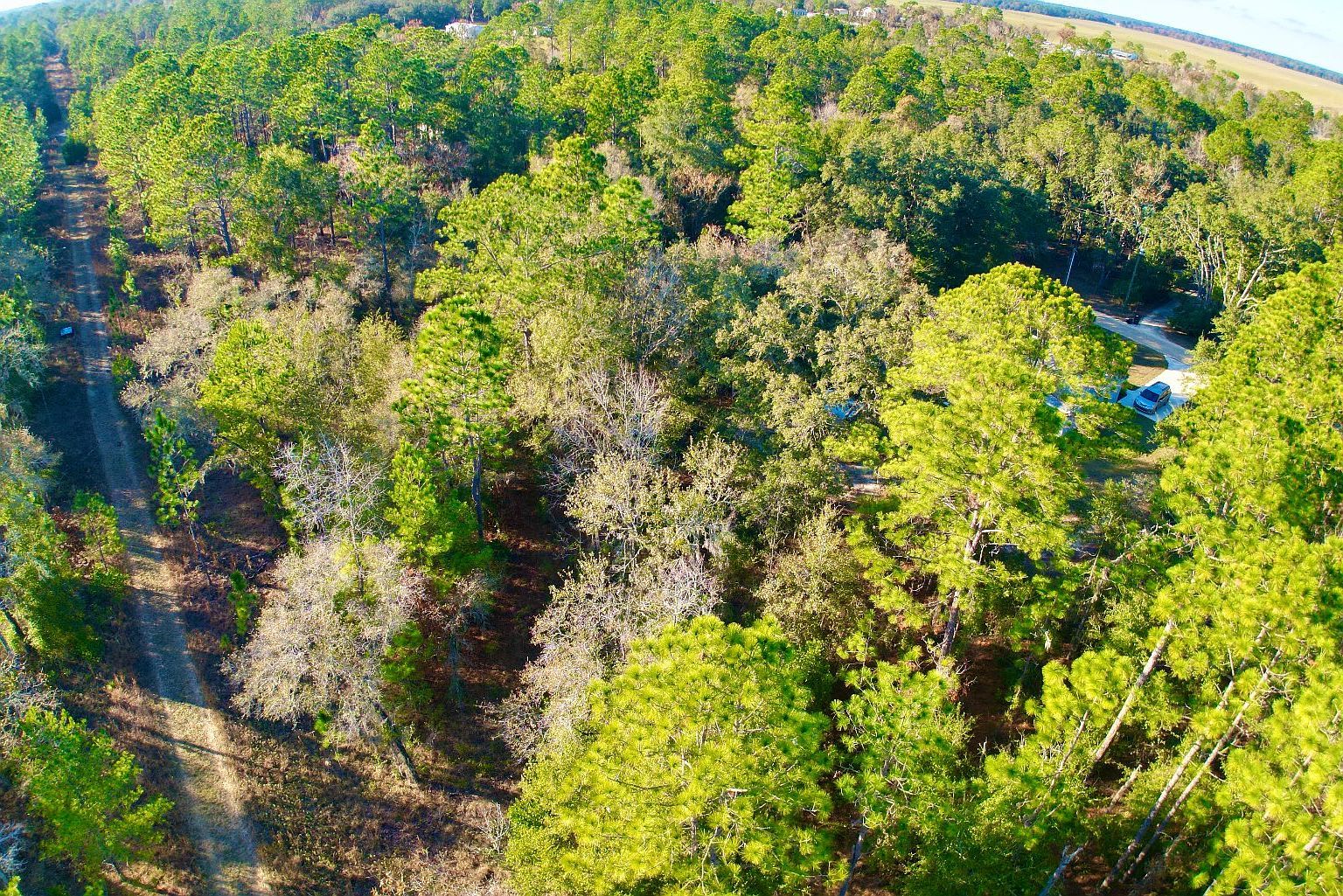 NE 16th Ln Williston, FL 32696 - Thumbnail 3