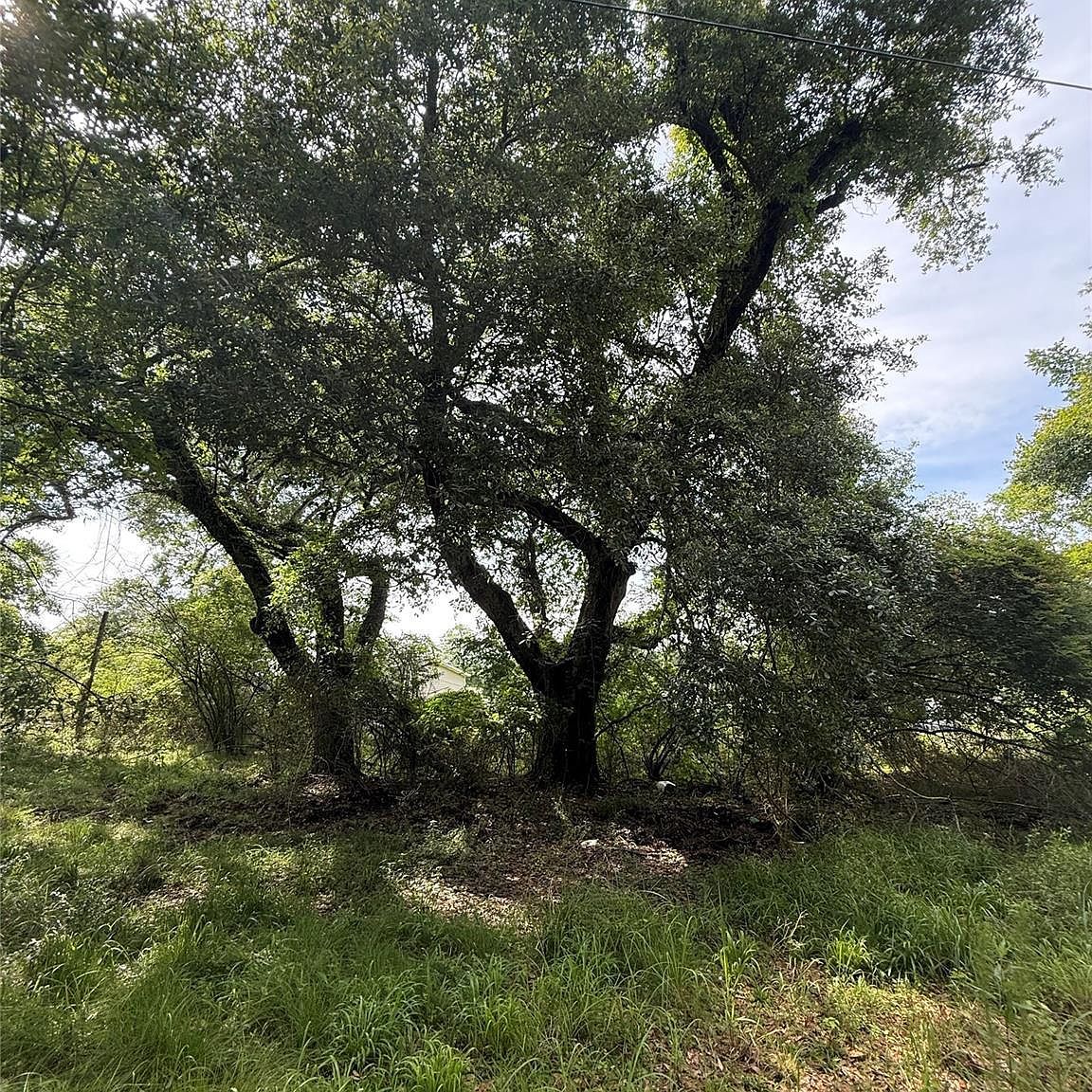 4668 Spillers Rd Lumberton, TX 77657 - Thumbnail 3