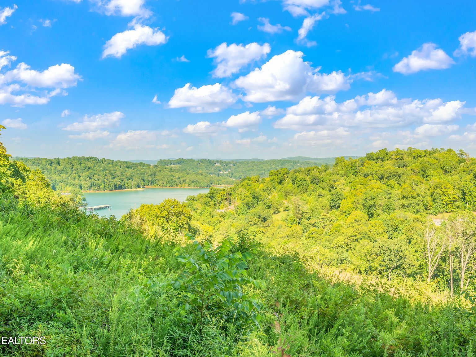 6 Shanghai Landing Ln La Follette, TN 37766 - Thumbnail 3