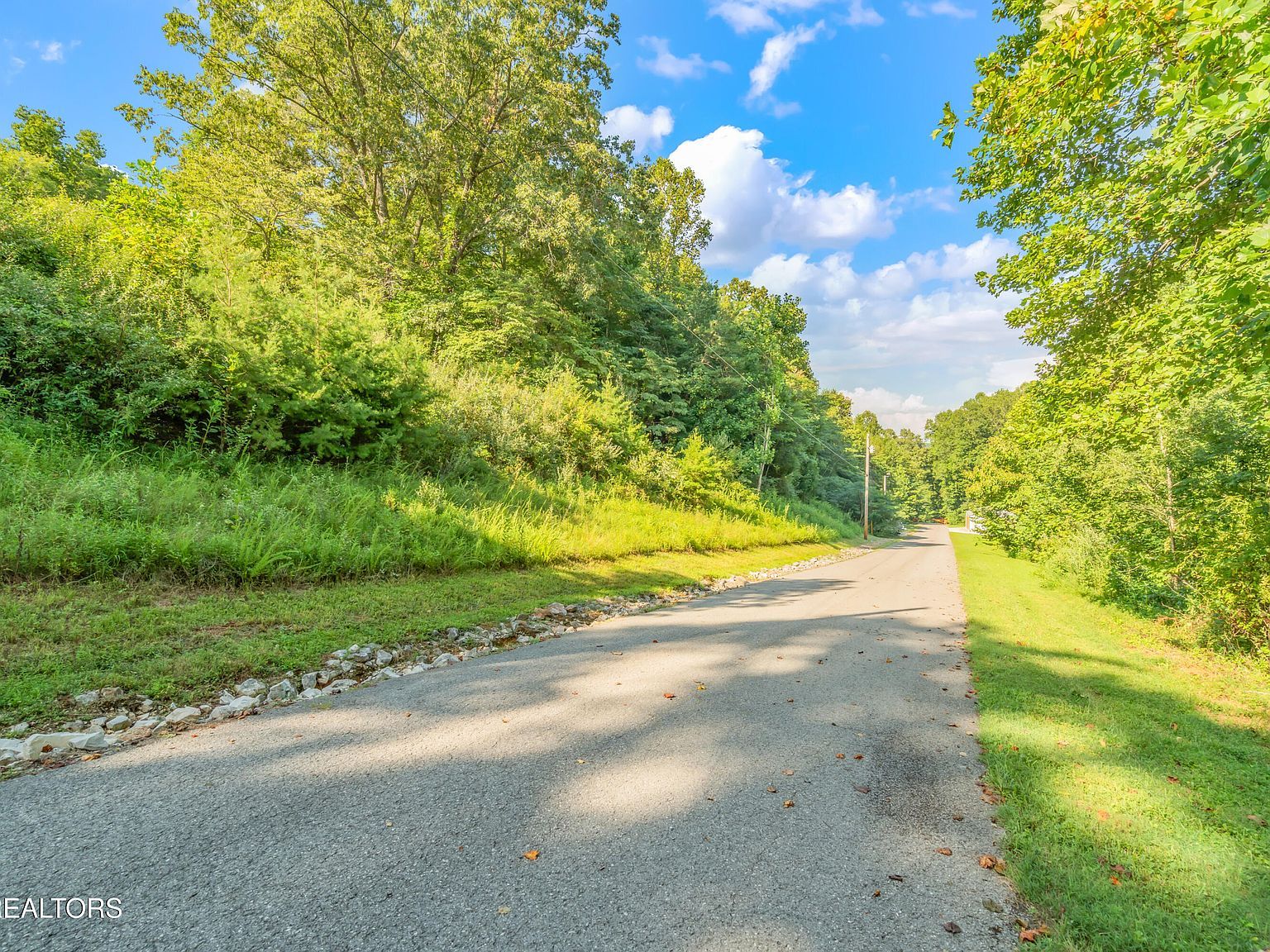 LOT 2 Shanghai Landing Ln La Follette, TN 37766 - Thumbnail 3